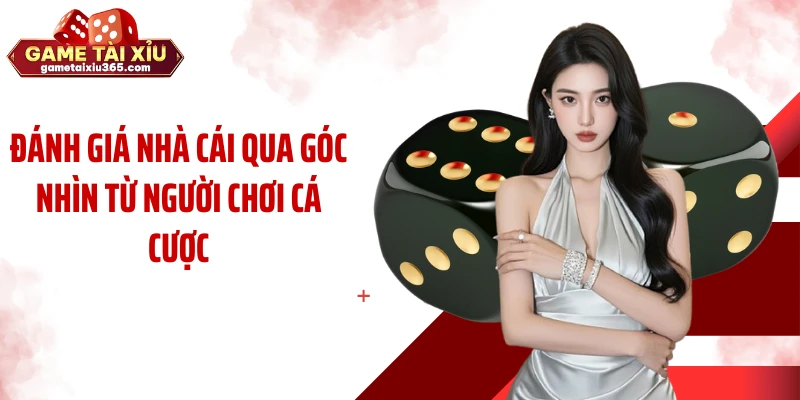 Đánh giá nhà cái qua góc nhìn từ người chơi cá cược