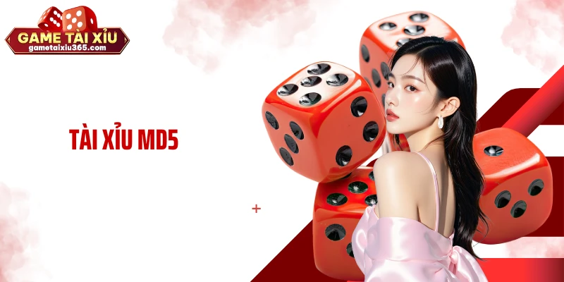 Tài Xỉu MD5 - Phiên Bản Minh Bạch Hóa Kết Quả Tài Xỉu