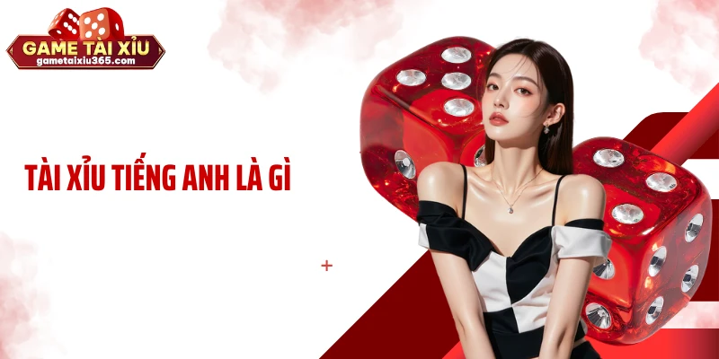 Tài Xỉu Tiếng Anh Là Gì? Thuật Ngữ Tưởng Quen Mà Dễ Nhầm